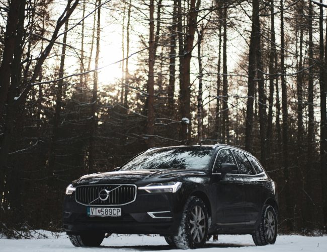 Säkerhet och prestanda i fokus när Julia väljer bilmodell för familjeresorna